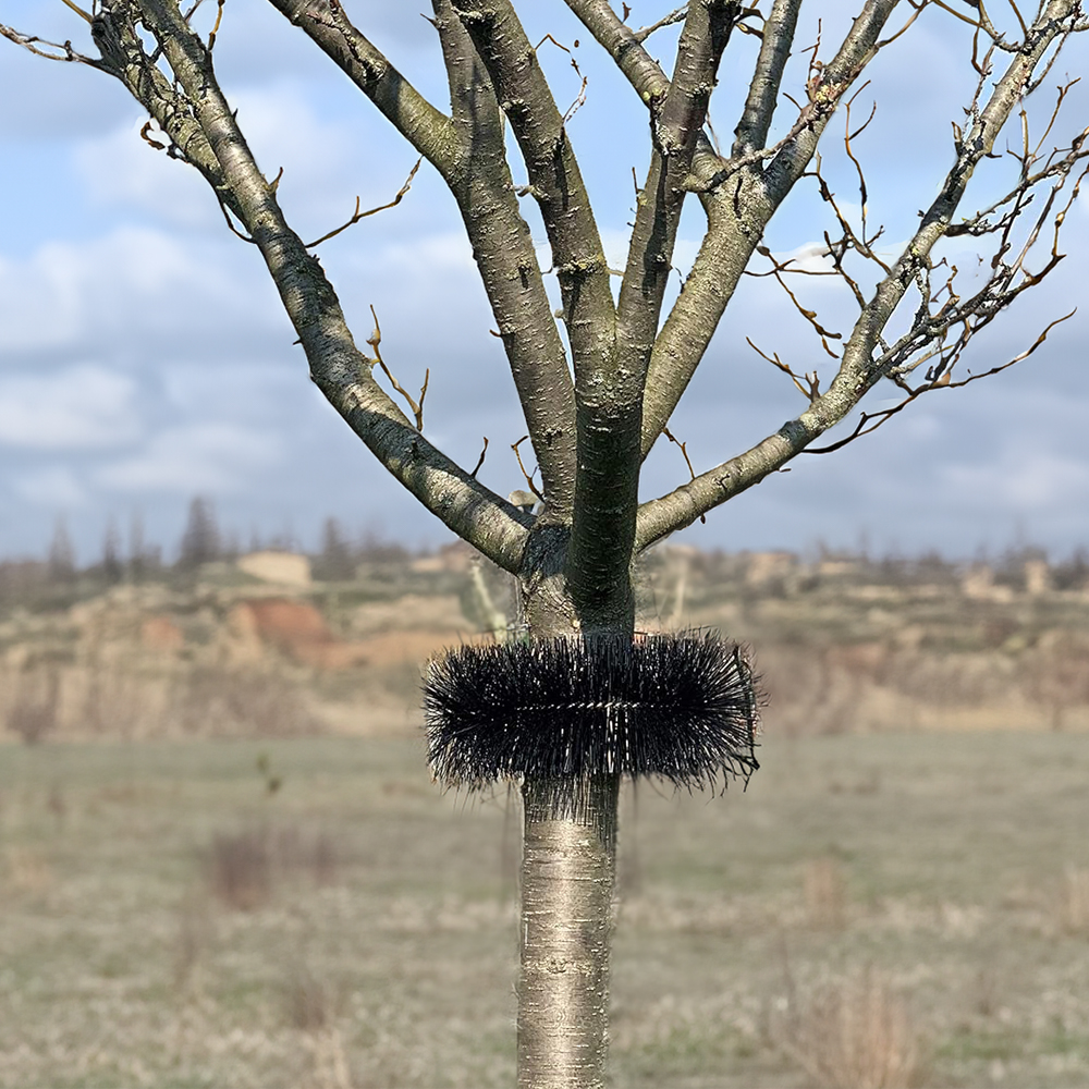 10 x 120cm Schutzbürsten Ø 19cm Vogel Taube Marder Nager Solaranlage Photovoltaik Regenrinne